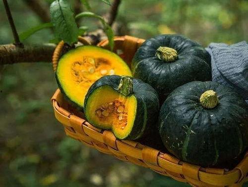 板栗瓜是甜吃还是咸吃,甜食还是咸食，风味选择大揭秘